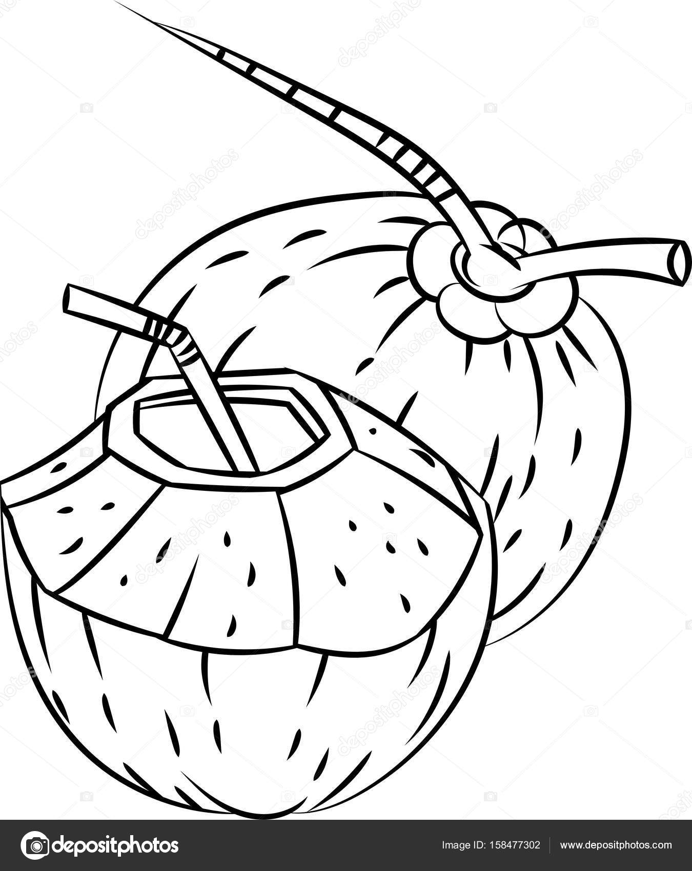 Mano schizzo disegnato di cocco e acqua di cocco isolato bianco e nero del fumetto per libro da colorare linea disegnata vettoriale — Vettoriali di