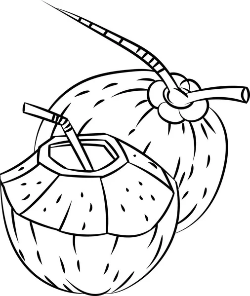Линейный рисунок вектора кокосовых орехов — стоковый вектор