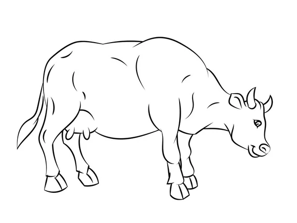 线描的牛-简单的行向量 — 图库矢量图片