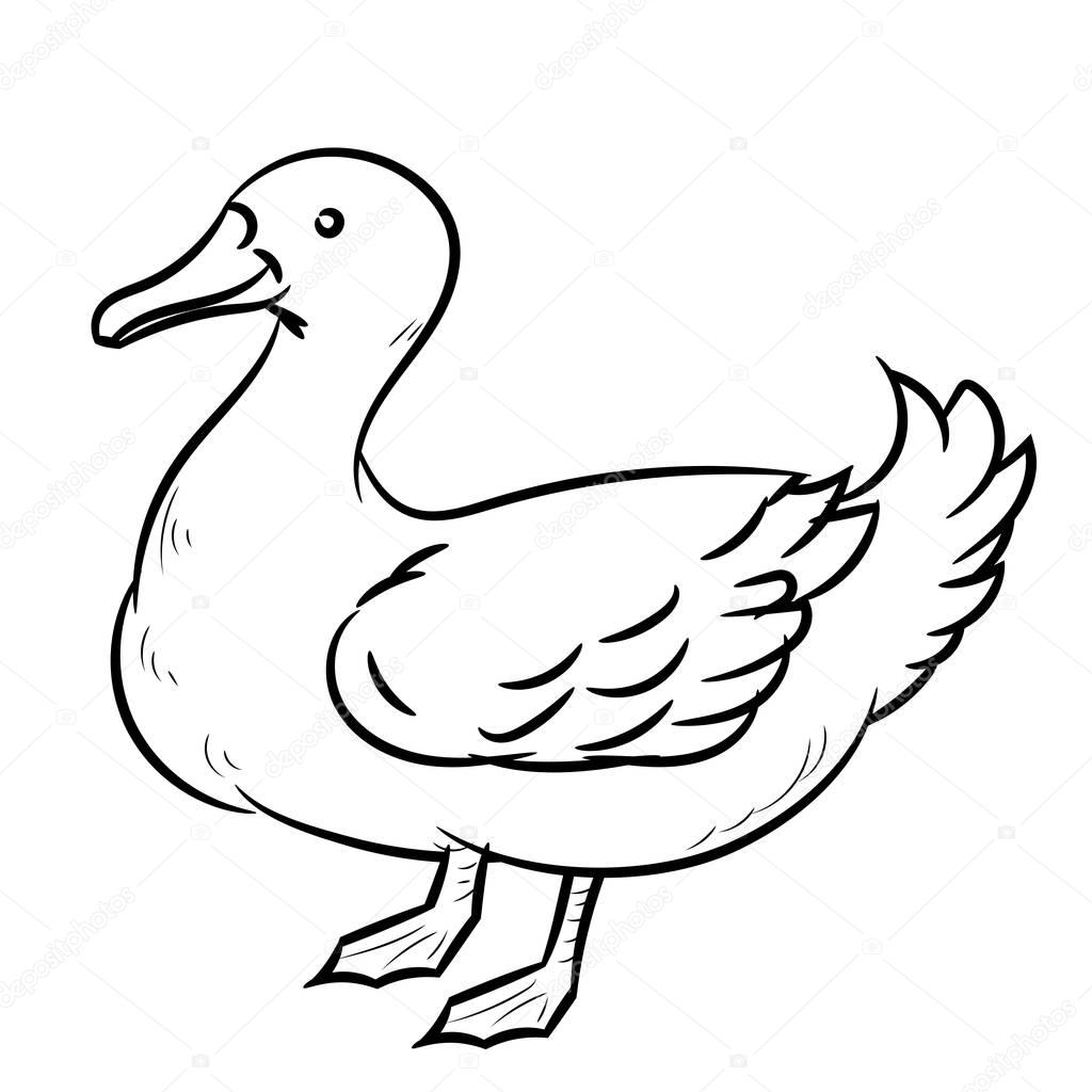 Pictures: line drawing simple | Line Drawing of Duck -Simple line