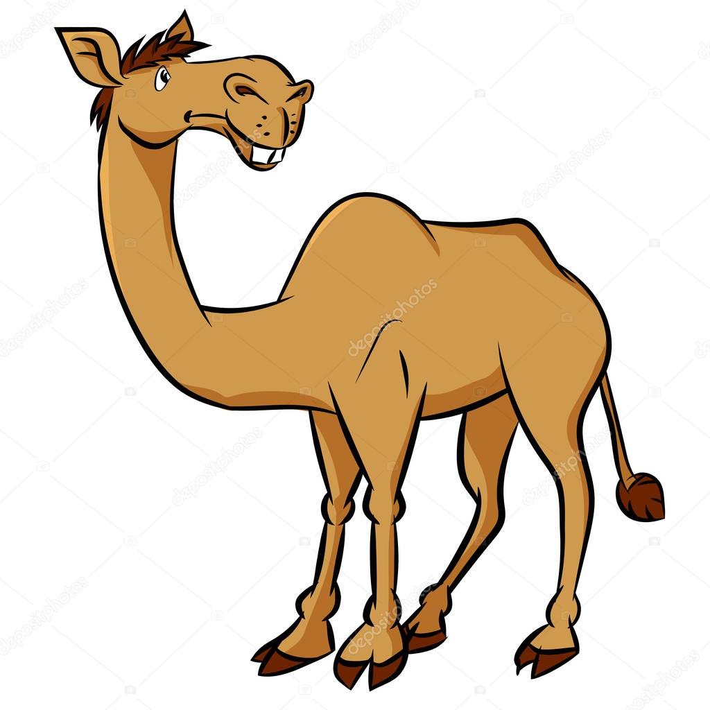 Cartoon camel - Vector Clipart Illustration