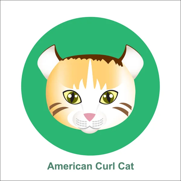 Cartoon American Curl Cat in Circle Vector Illustration — Stock Vector