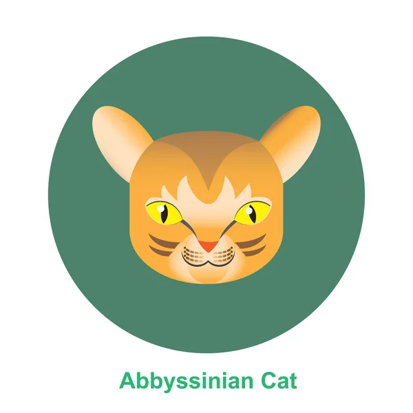 Cartoon Abbyssinian Cat in Circle Vector Illustration — Stock Vector