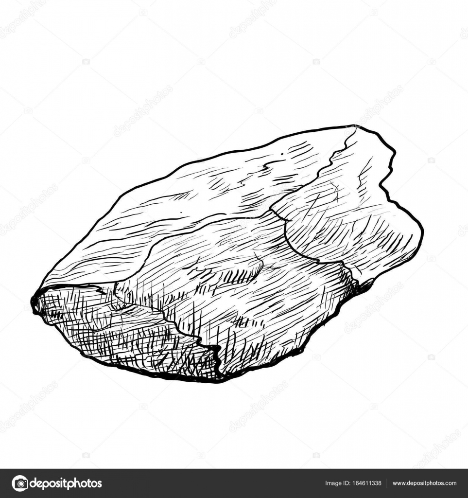 Imágenes: pez piedra para colorear | Mano dibujo roca aislada-Vector