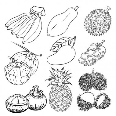 Hand drawn set of different tropical fruits-Vector sketch Design clipart