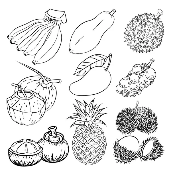 Set disegnato a mano di diversi frutti tropicali-disegno vettoriale — Vettoriale Stock