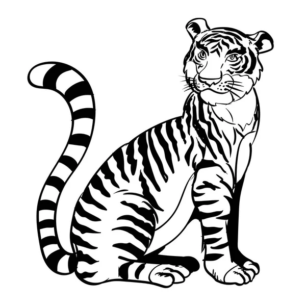Hand drawn Sitting tiger-Vector Illustration — Stock Vector