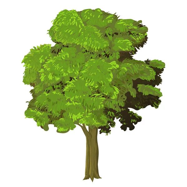 Sg171004a-Illustration of Tree - Vector Illustration Vector Graphics