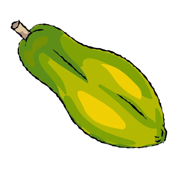 Papaya geïsoleerd cartoon - vectorillustratie — Stockvector