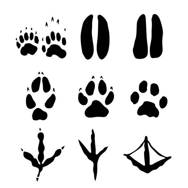 Aantal zoogdieren en biedingen voetafdrukken - vectorillustratie — Stockvector