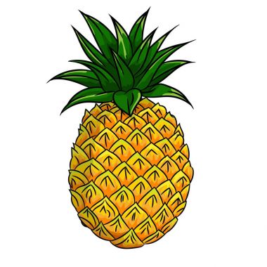 Ananas çizimi-vektör çizim