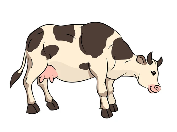 Illustratie van koe Cartoon - vectorillustratie — Stockvector