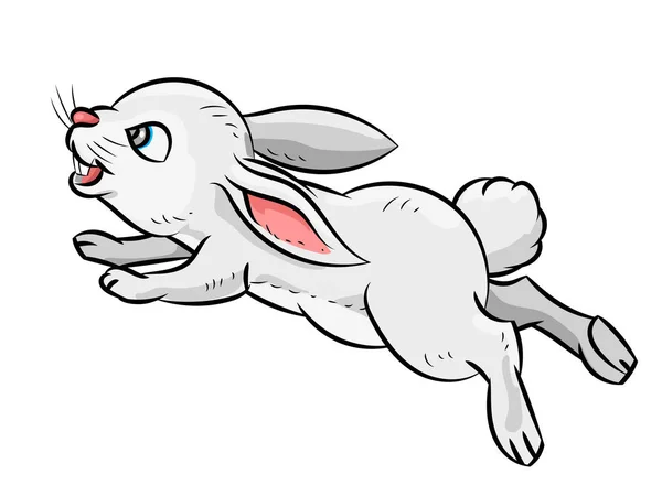 Illustration du lapin - Illustration vectorielle — Image vectorielle