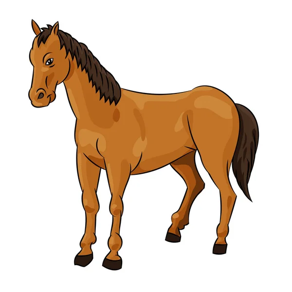 Illustratie van paard - vectorillustratie — Stockvector