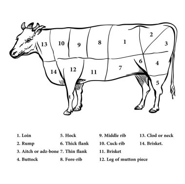 Illustration of Beef cutting up diagram - Vector Illustration clipart