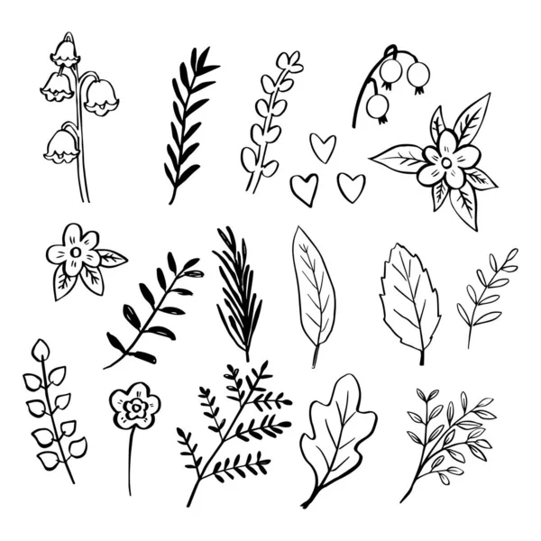 Набор листьев и цветков — стоковый вектор