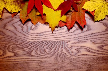 Ladin iğneler, gül kalçaları ve renkli yaprakları ile ahşap arka plan. Ahşap bir masada, sonbahar arka plan