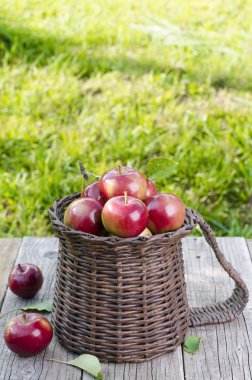 Sepet elma bir ahşap masa ve güneş ışığı 