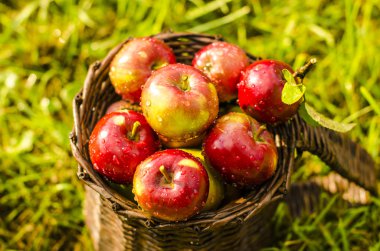 Sepet elma bir ahşap masa ve güneş ışığı 