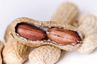 Fıstık beyaz zemin üzerinde. İzole. Fındık binadan. Denge. Açık deniz hayvanı kabuğu. Beslenme. Fıstık ezmesi.