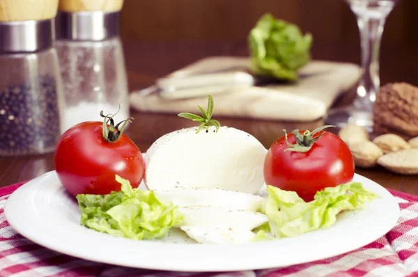 Mozzarella with salad and tomatoes on a green background — Stock Photo, Image