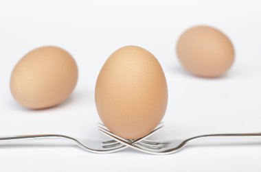 çatal ve arka plan yumurtadan yumurta 