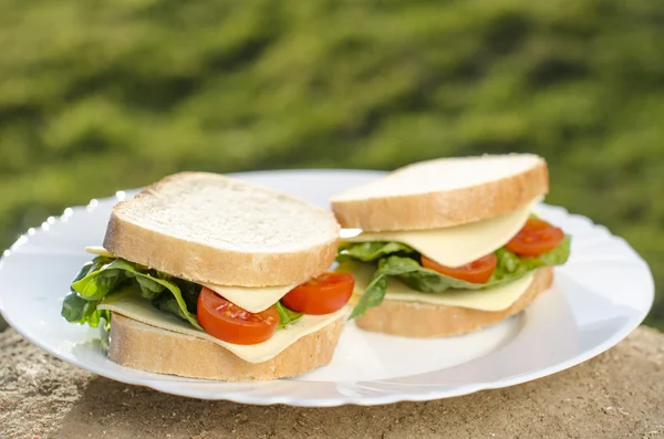サンドイッチ プレートと緑の背景に — ストック写真