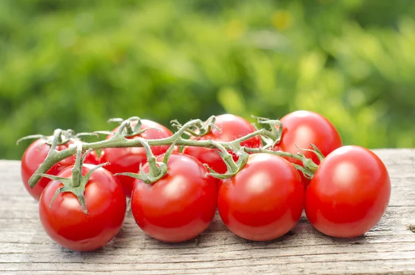 Tomates em uma mesa de madeira e raios de sol — Fotografia de Stock