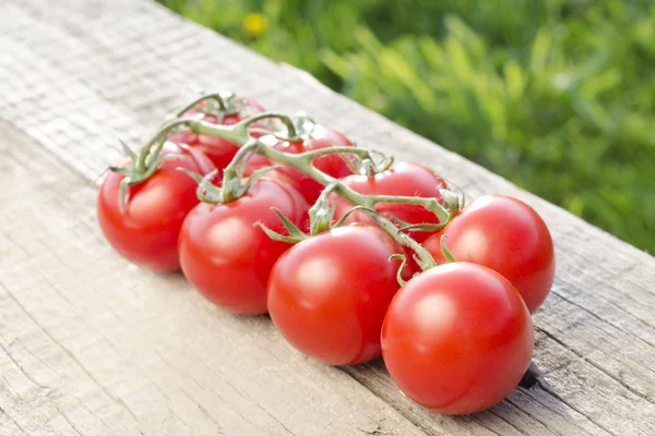 Tomates em uma mesa de madeira e raios de sol — Fotografia de Stock