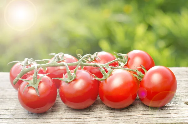 Tomates em uma mesa de madeira e raios de sol — Fotografia de Stock