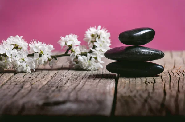 Black stone treatment. Spa and wellness concept. One pink flower on a wooden table and pink background. Lovely flowers. Festive greeting card. Pastel color.. Spring.