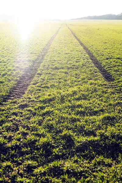 Campos agrícolas. Primavera. Rastros en tierra desde el tractor. Puesta de sol — Foto de Stock