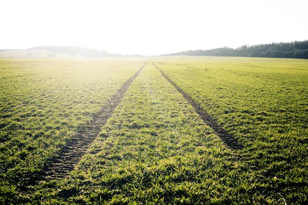 Campos agrícolas. Primavera. Rastros en tierra desde el tractor. Puesta de sol — Foto de Stock