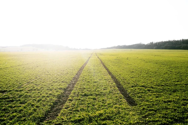 Campos agrícolas. Primavera. Rastros en tierra desde el tractor. Puesta de sol — Foto de Stock