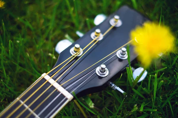 Detalle de guitarra acústica en una hierba. Fondo natural con flores, hierba y sol. Instrumento musical . —  Fotos de Stock