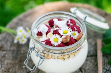 Bir kavanoz müsli, yoğurt, ahududu, bahçedeki bir ağaçta fındık. Ev yapımı kahvaltı gevreği. Sağlıklı beslenme