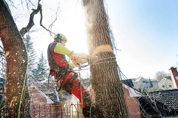 Uomo Arborista Che Taglia Rami Con Motosega Getta Una Terra — Foto Stock