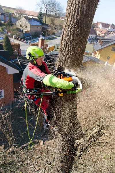 Uomo Arborista Che Taglia Rami Con Motosega Getta Una Terra — Foto Stock