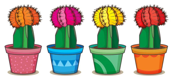 Realistic cactus vector illustration — Stock Vector