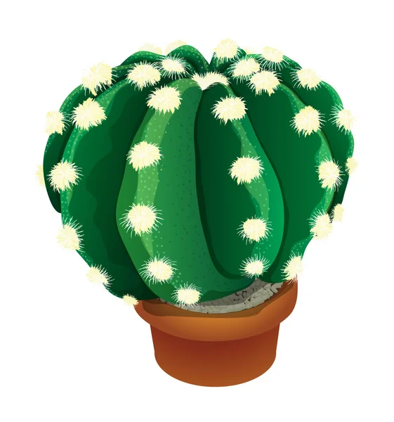 Ilustración realista vector cactus — Vector de stock