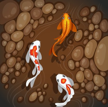 CARPs sualtı Üstten Görünüm