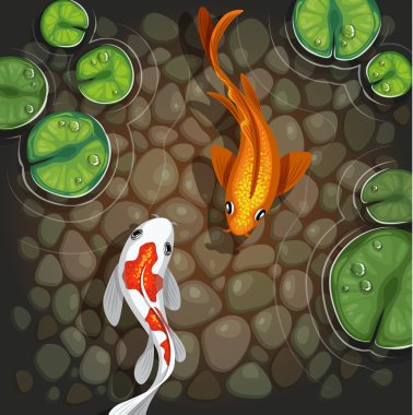 CARPs sualtı Üstten Görünüm