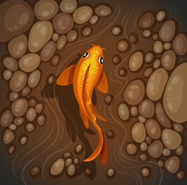 CARPs sualtı Üstten Görünüm