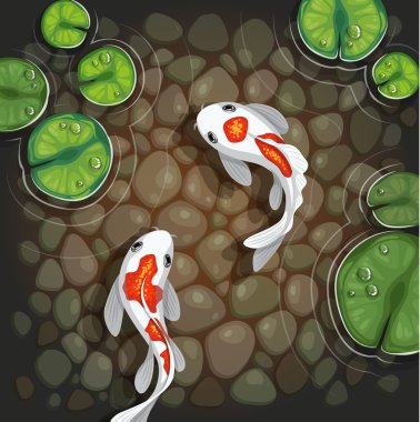 CARPs sualtı Üstten Görünüm