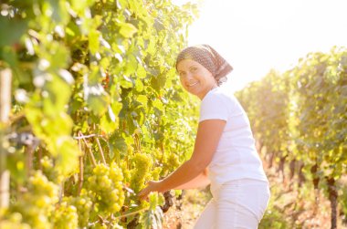 Bir bağ çalışan orta yaşlı kadın gülümseyerek