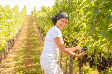 Bir bağ çalışan orta yaşlı kadın gülümseyerek
