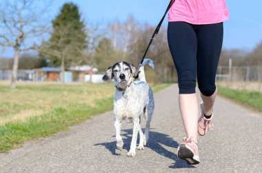 Uygun atletik genç kadın köpeğiyle çalıştıran