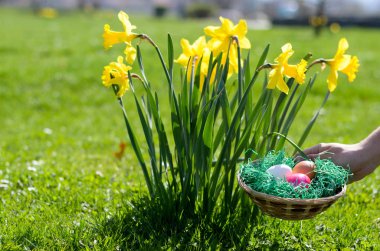 Paskalya yumurta bir kase içinde belgili tanımlık Bahçe yerleştirerek adam