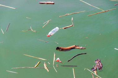Plastik şişe ve enkaz suyun üzerinde yüzüyor.