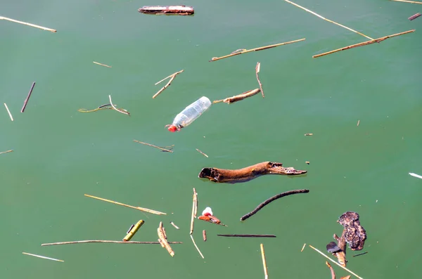 Plastic bottle and debris floating on water